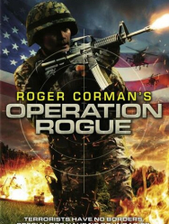 Операция «Возмездие»