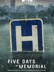 Пять дней после катастрофы 1 сезон