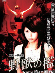 Бандитки в цепях