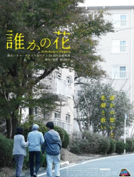 Чьи-то цветы