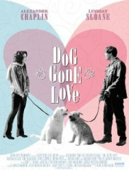 Лучший друг мужчины