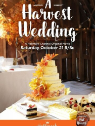 Свадьба на ферме