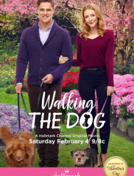 Прогулка с собакой