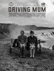 Поездка с мамой