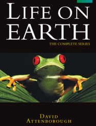 Жизнь на Земле 1 сезон