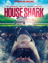 Домашняя акула