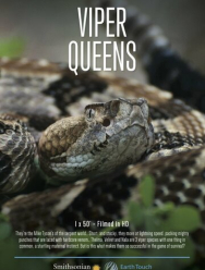 Королевы гадюк