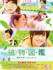 Иллюстрированная книга растений