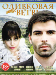 Ветка маслин