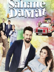 Замечательный зять 1 сезон