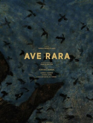 Ave Rara