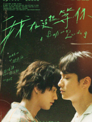 Приземление воздушного шара