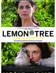 Лимонное дерево