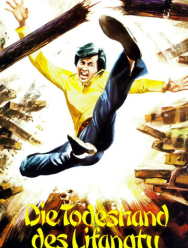 Каратисты в Стамбуле