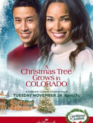 Рождественская ёлка растёт в Колорадо