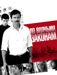 По волчьим законам