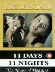 Дом удовольствия