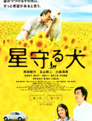 Пёс, смотрящий на звезды