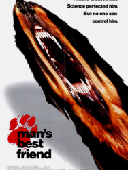 Лучший друг человека