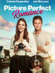 Идеальный роман