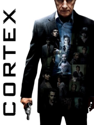 Кортекс