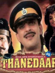 Инспектор полиции