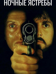 Ночные ястребы