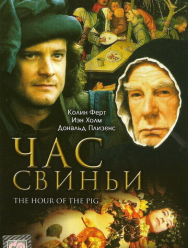 Час свиньи