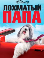 Лохматый папа