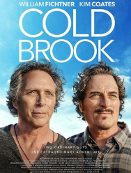 Холодный ручей