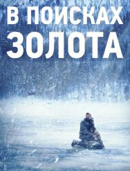 В поисках золота