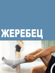 Жеребец 3 сезон