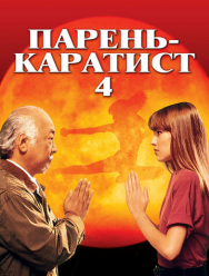 Парень-каратист 4