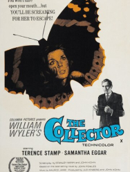 Коллекционер