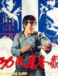 Кулак ярости 3