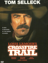 Под перекрестным огнем